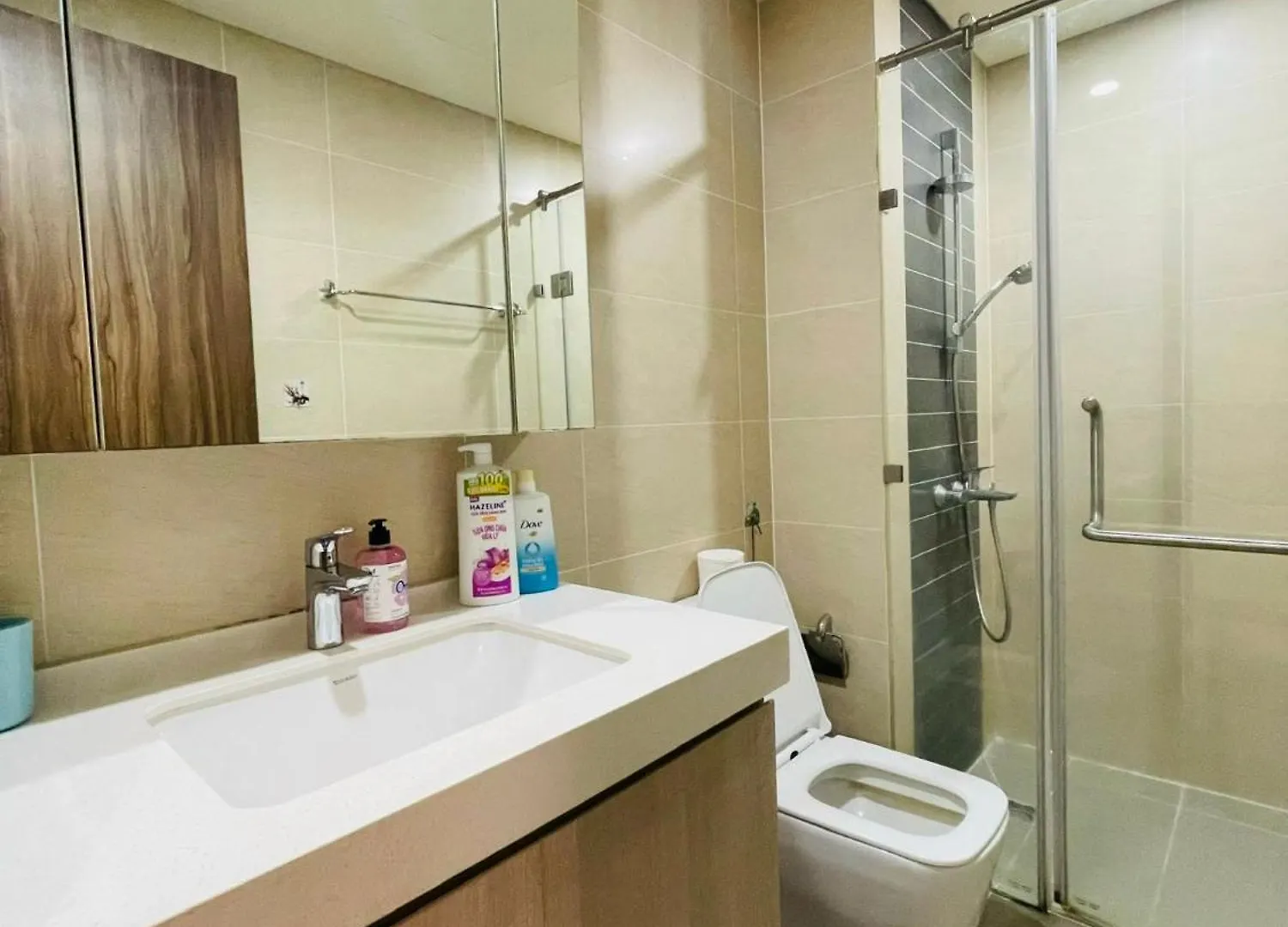 Ha Do Centrosa Apartment District 10 Ho Chi Minh City 0*,